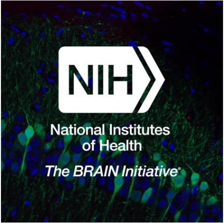 News | BRAIN Initiative